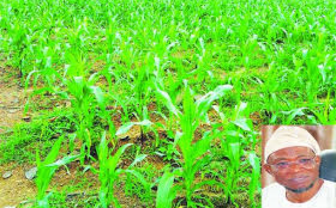 Agric Commissioner Urges Farmers To Prepare Towards New Planting Season