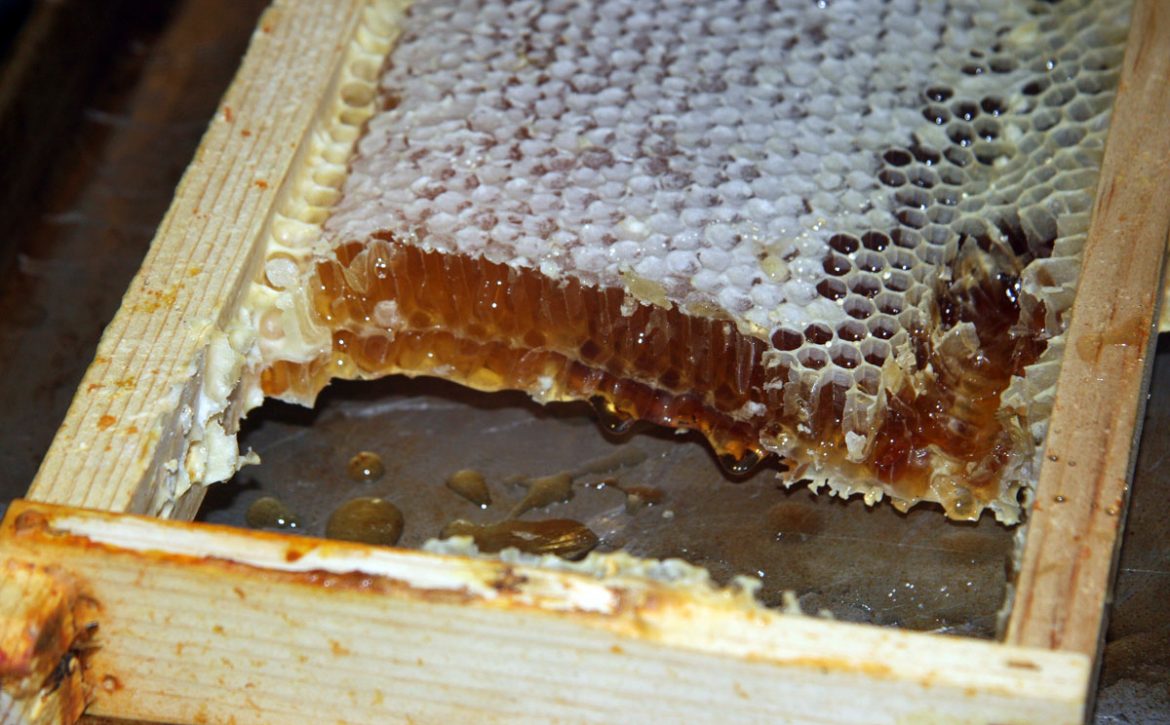 honeycomb