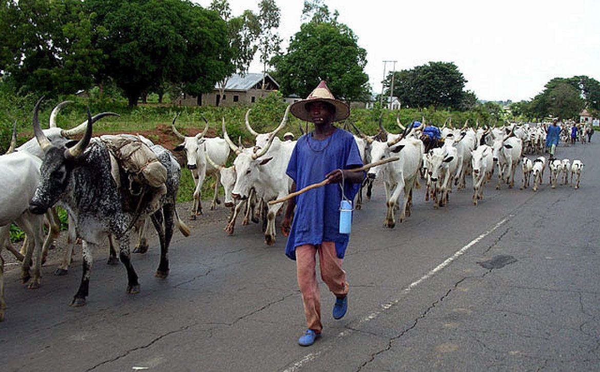 Fulani-Herdsmen