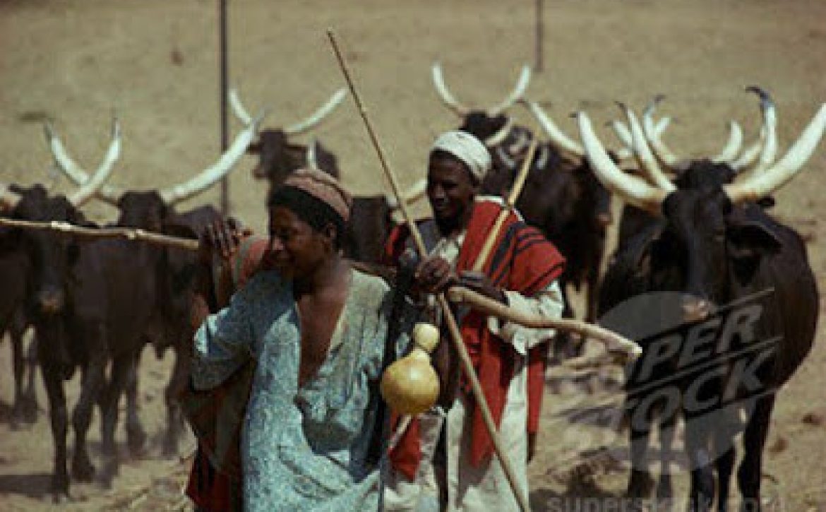 fulani-herdsmen